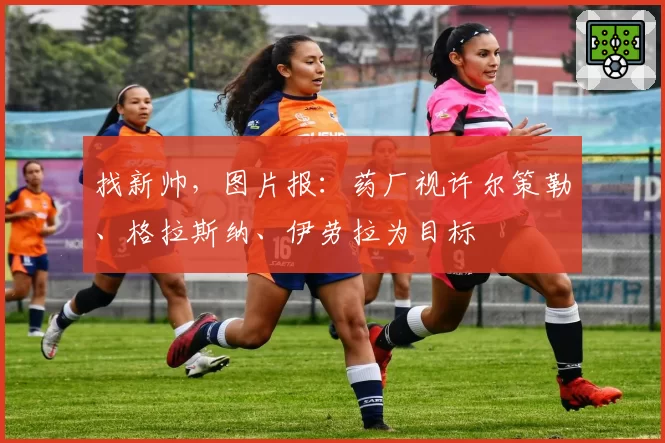 找新帅，图片报：药厂视许尔策勒、格拉斯纳、伊劳拉为目标