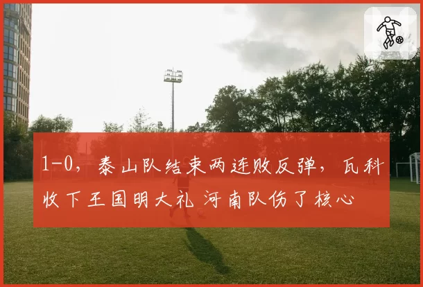 1-0，泰山队结束两连败反弹，瓦科收下王国明大礼 河南队伤了核心